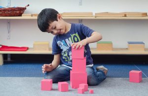 Torre Rosa - Material Montessori